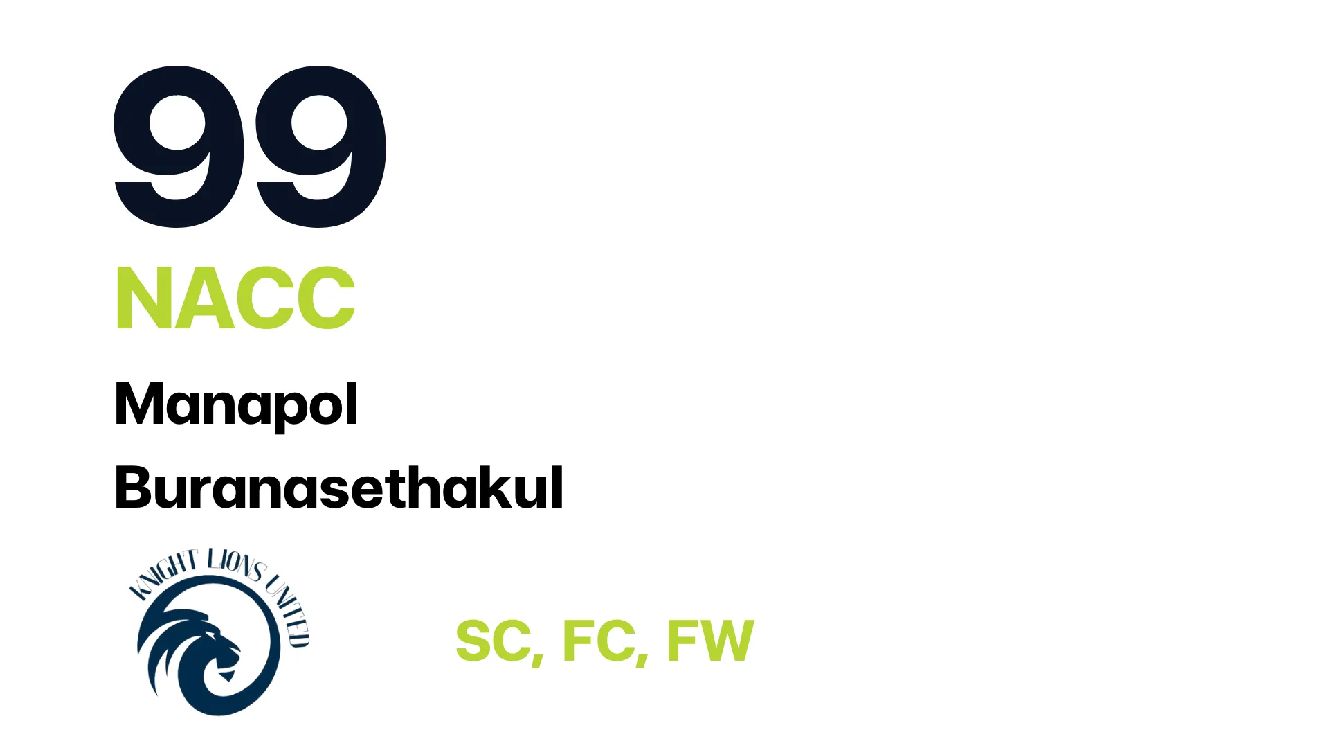 Player 16: CEO Knight Lion Team