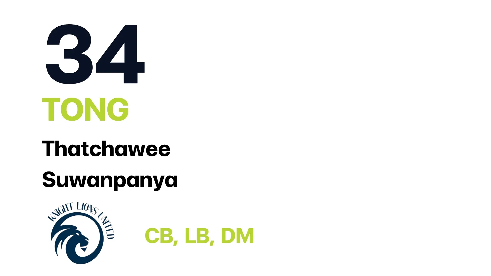 Player 20: CEO Knight Lion Team